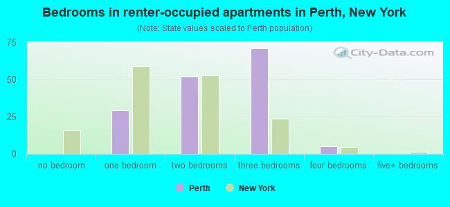Bedrooms in renter-occupied apartments in Perth, New York