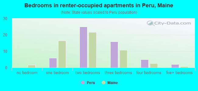 Bedrooms in renter-occupied apartments in Peru, Maine