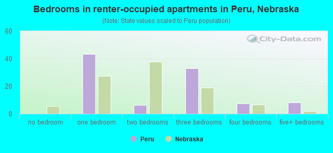 Bedrooms in renter-occupied apartments in Peru, Nebraska