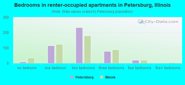 Bedrooms in renter-occupied apartments in Petersburg, Illinois