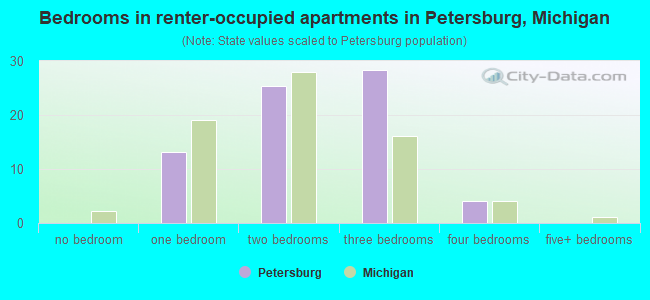Bedrooms in renter-occupied apartments in Petersburg, Michigan