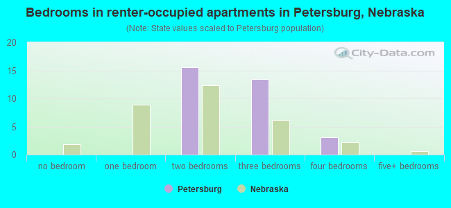 Bedrooms in renter-occupied apartments in Petersburg, Nebraska