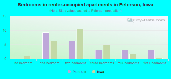 Bedrooms in renter-occupied apartments in Peterson, Iowa