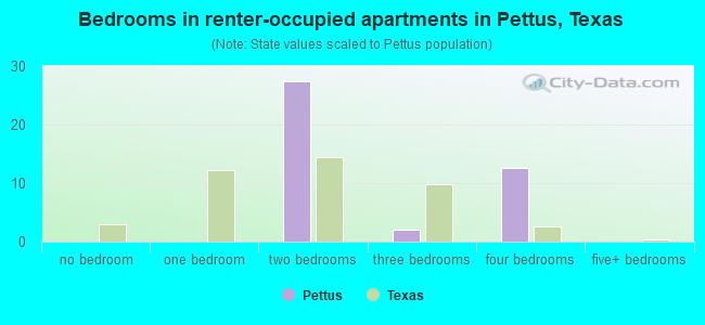 Bedrooms in renter-occupied apartments in Pettus, Texas