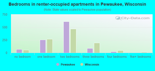 Bedrooms in renter-occupied apartments in Pewaukee, Wisconsin