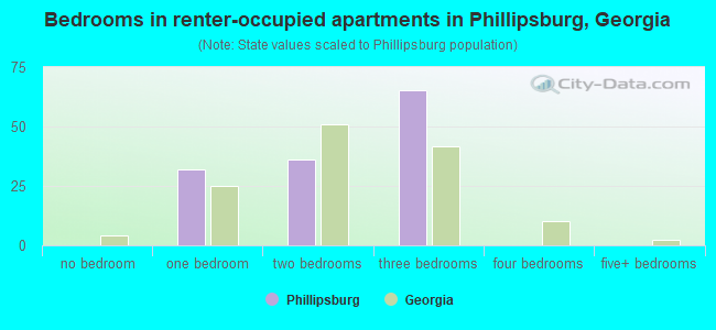 Bedrooms in renter-occupied apartments in Phillipsburg, Georgia