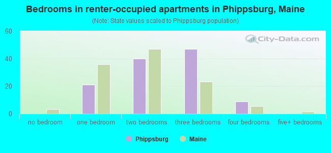 Bedrooms in renter-occupied apartments in Phippsburg, Maine