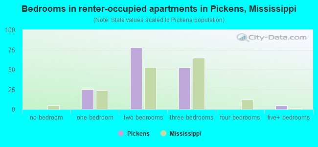 Bedrooms in renter-occupied apartments in Pickens, Mississippi