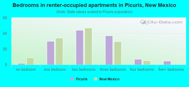 Bedrooms in renter-occupied apartments in Picuris, New Mexico