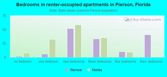 Bedrooms in renter-occupied apartments in Pierson, Florida