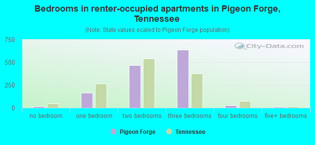 Bedrooms in renter-occupied apartments in Pigeon Forge, Tennessee