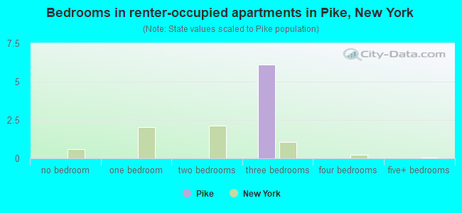 Bedrooms in renter-occupied apartments in Pike, New York