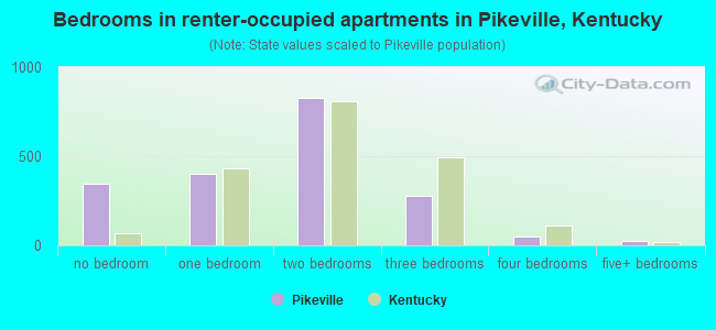 Bedrooms in renter-occupied apartments in Pikeville, Kentucky