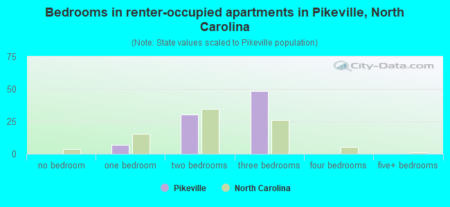 Bedrooms in renter-occupied apartments in Pikeville, North Carolina
