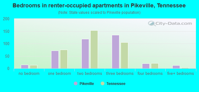 Bedrooms in renter-occupied apartments in Pikeville, Tennessee
