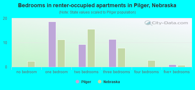 Bedrooms in renter-occupied apartments in Pilger, Nebraska