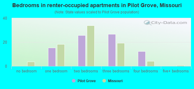 Bedrooms in renter-occupied apartments in Pilot Grove, Missouri