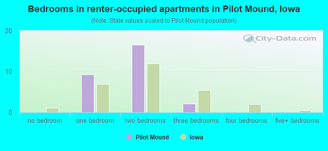 Bedrooms in renter-occupied apartments in Pilot Mound, Iowa