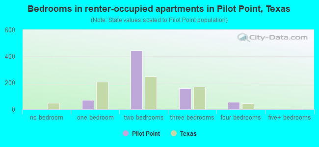 Bedrooms in renter-occupied apartments in Pilot Point, Texas