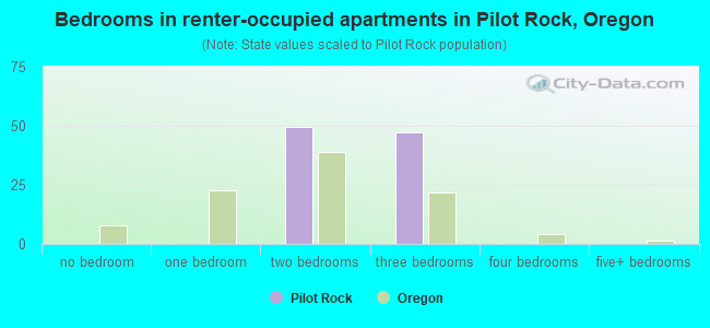 Bedrooms in renter-occupied apartments in Pilot Rock, Oregon