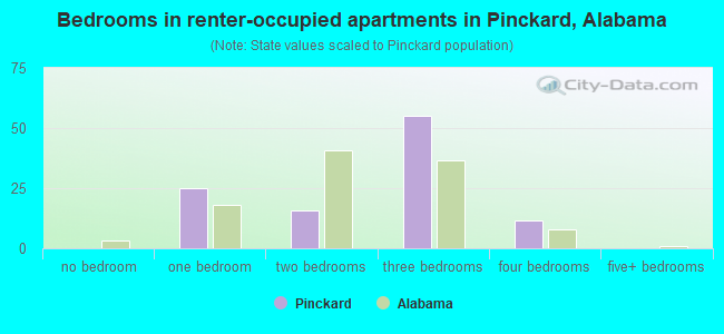 Bedrooms in renter-occupied apartments in Pinckard, Alabama