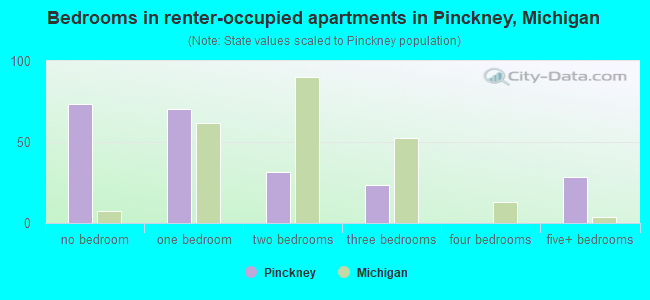 Bedrooms in renter-occupied apartments in Pinckney, Michigan