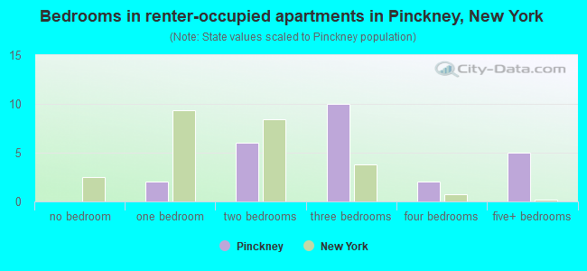 Bedrooms in renter-occupied apartments in Pinckney, New York