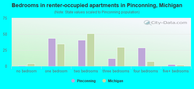 Bedrooms in renter-occupied apartments in Pinconning, Michigan