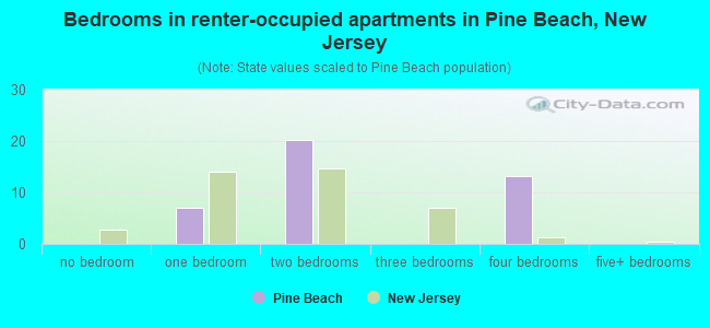 Bedrooms in renter-occupied apartments in Pine Beach, New Jersey