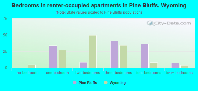 Bedrooms in renter-occupied apartments in Pine Bluffs, Wyoming