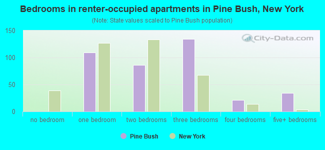 Bedrooms in renter-occupied apartments in Pine Bush, New York