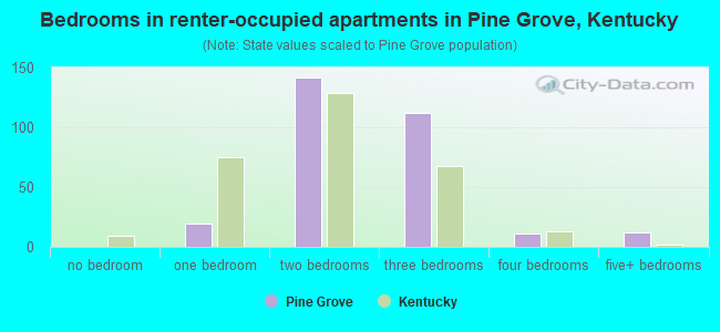 Bedrooms in renter-occupied apartments in Pine Grove, Kentucky