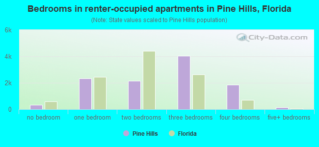 Bedrooms in renter-occupied apartments in Pine Hills, Florida
