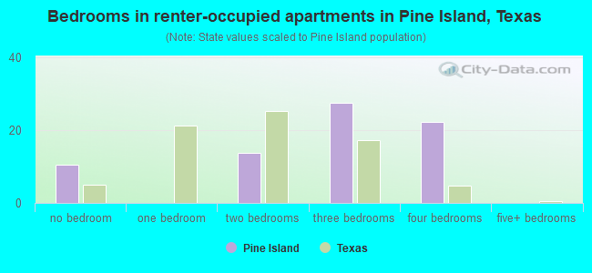 Bedrooms in renter-occupied apartments in Pine Island, Texas