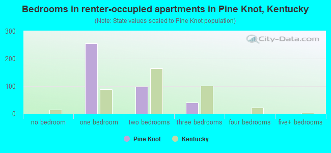 Bedrooms in renter-occupied apartments in Pine Knot, Kentucky