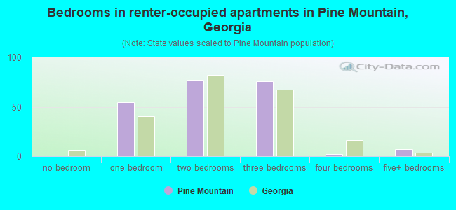 Bedrooms in renter-occupied apartments in Pine Mountain, Georgia