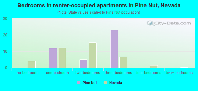 Bedrooms in renter-occupied apartments in Pine Nut, Nevada