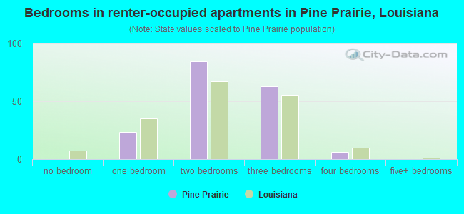Bedrooms in renter-occupied apartments in Pine Prairie, Louisiana