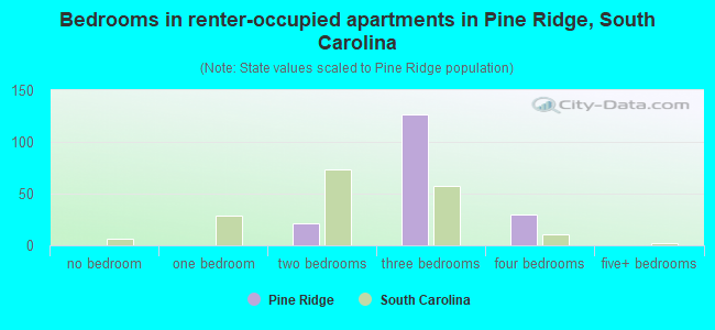 Bedrooms in renter-occupied apartments in Pine Ridge, South Carolina