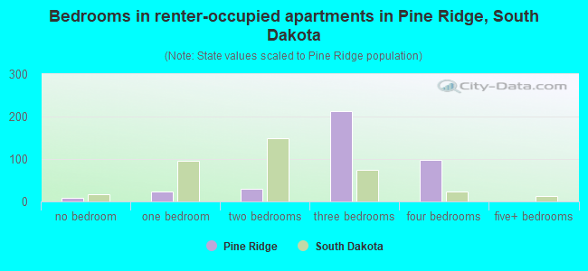 Bedrooms in renter-occupied apartments in Pine Ridge, South Dakota