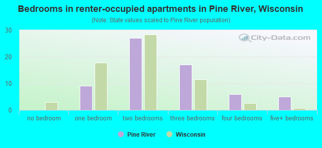 Bedrooms in renter-occupied apartments in Pine River, Wisconsin