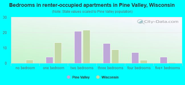 Bedrooms in renter-occupied apartments in Pine Valley, Wisconsin