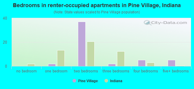 Bedrooms in renter-occupied apartments in Pine Village, Indiana