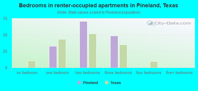 Bedrooms in renter-occupied apartments in Pineland, Texas
