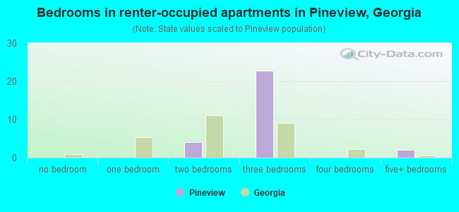 Bedrooms in renter-occupied apartments in Pineview, Georgia