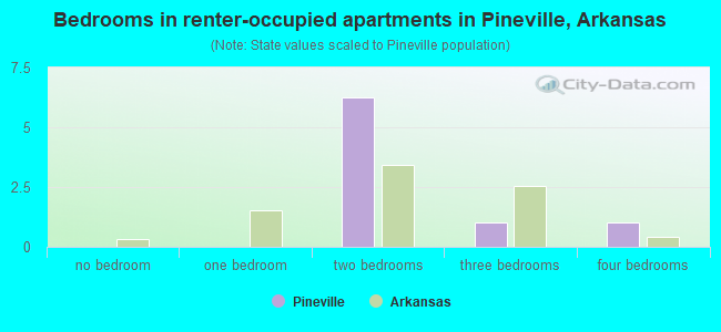 Bedrooms in renter-occupied apartments in Pineville, Arkansas