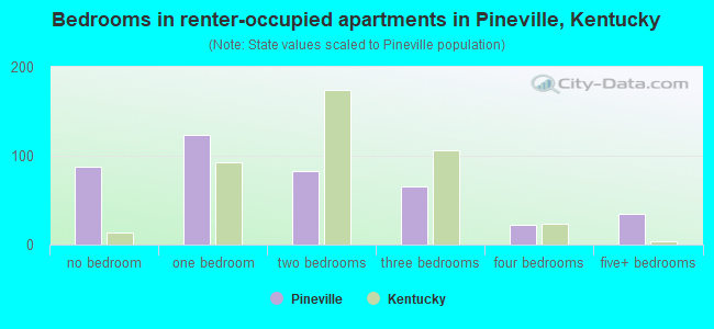 Bedrooms in renter-occupied apartments in Pineville, Kentucky