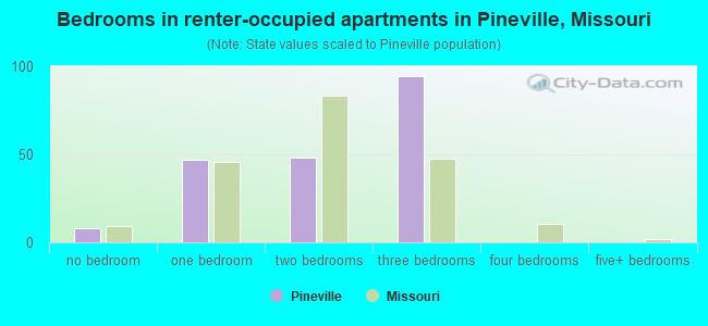 Bedrooms in renter-occupied apartments in Pineville, Missouri