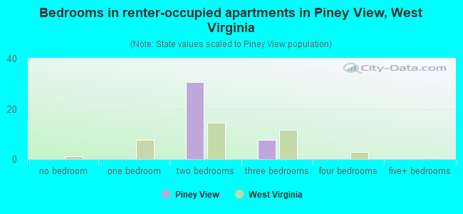 Bedrooms in renter-occupied apartments in Piney View, West Virginia