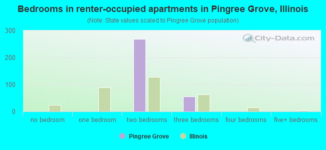 Bedrooms in renter-occupied apartments in Pingree Grove, Illinois